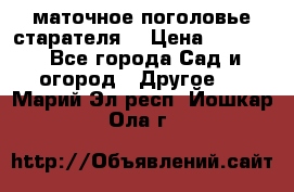 маточное поголовье старателя  › Цена ­ 3 700 - Все города Сад и огород » Другое   . Марий Эл респ.,Йошкар-Ола г.